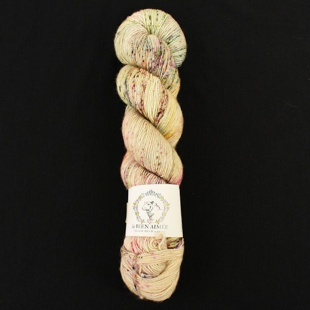 La Bien Aimée Merino Singles Yarn 100% Merino Wool Hand Dyed Winter Garden